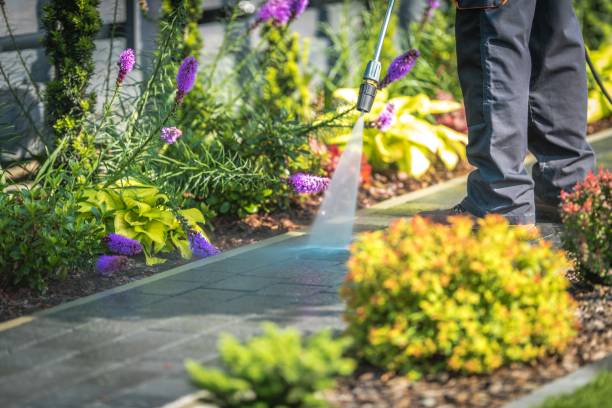 Best Dumpster Area Cleaning  in Pagosa Springs, CO